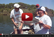 Sacramento River Fishing Salmon Striper Guide Service Videos